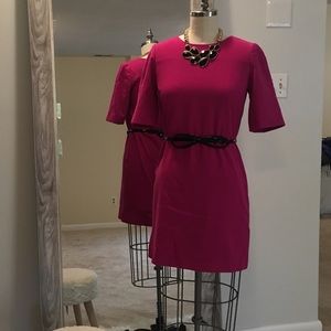 Gap Fuchsia Shift Dress